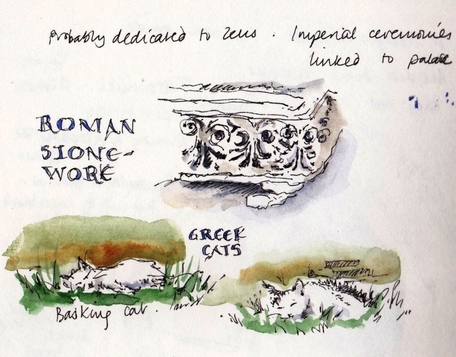 pen and ink sketch of Greek cats