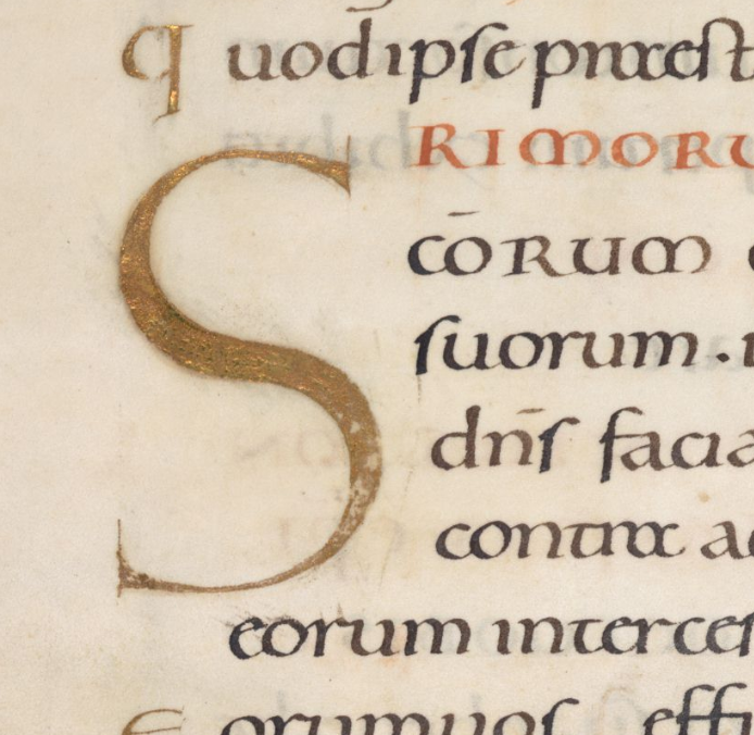 Perfect Proportions: Anglo-Saxon Style | Icon Diploma Student