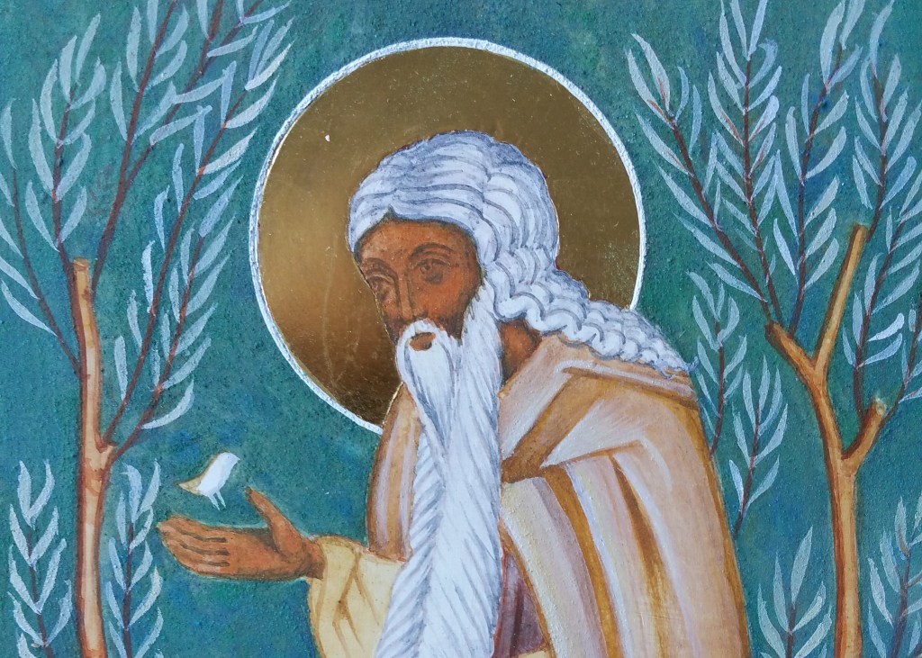 St David the Dendrite | Icons of Grace